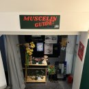 멋 | 플라잉요가 추가 후기 송파 방이동필라테스 [멋,슬림필라테스]