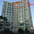 조은맘약국 이미지