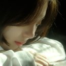 나의바다 티스토리