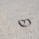 남평축사 이미지