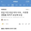 반값 치킨·반값 피자 이어… 이번엔 생필품 최저가 보상제 도입 이미지