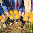 비룡농장 이미지