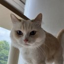 필종합동물병원 이미지