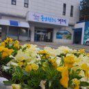 능포동 능포동주민센터 새거제신문