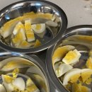 퍼피케어 이미지