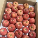 농업기술센터 (3층) | [파주농업기술센터] 특산물활용 떡디저트 교육 청강 후기 3회차. 파주 사과 대추단자