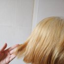 미미살롱 5.5 | 3번 탈색 한 후 상한 머리결에서 케어 후 변화