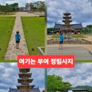 정림로 | 부여 여행코스 관광지 갈만한곳 부여 정림사지 다녀온 후기
