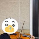 분당-402 이미지