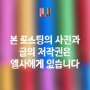 오가네국밥 | 오가네돼지국밥 시흥목감점-주차안내