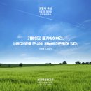 벗들집 이미지
