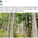 비에이체육관