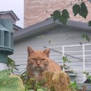 브로즈아카데미 | [10월 2주 쫌쫌따리] 할게 너무 많은 이런 나, 조금 멋쥐다...!