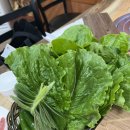 도심속가든 이미지