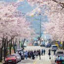 공마당길 이미지