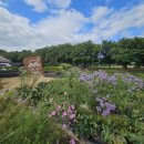 안동군자마을지킴이 | 안동여행 하회마을 군자주 만들기 체험 하회주막 후기