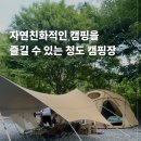 화이트 오토캠핑장 | 대구 근교 청도 캠핑장 추천 화이트 오토캠핑장 애견동반 가능한곳