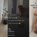 키집 뉴시스
