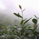 지탄농장 이미지