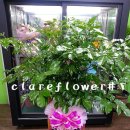 해피트리세탁소 이미지