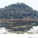 오조리-7 이미지