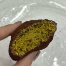 시오다과 이미지