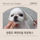 트윈독스 이미지