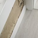 연향 2지구 | 순천도배 연향2지구 호반리젠시빌1차 lx디아망 회벽 화이트시공