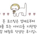 뷰티율