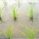 들판농장 이미지