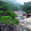 국골민박 이미지