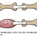 분당서울정형외과 네이버블로그