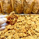 엄마찬(엄마찬S) 이미지