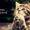 이글스포츠 이미지