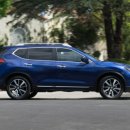 도그(DOGUE) 이미지