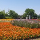 강동숲유치원 이미지