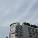 동제의원 | 31w3d임신일기 | 정기검진 및 백일해 접종하기(동탄제일 백일해 접종가격은?)