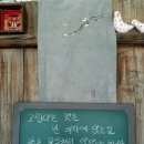 꽃진자리