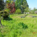 이서면사무소 앞 이미지