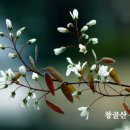 목회자의 건강관리 / 교회와 신앙 박관 원장 이미지