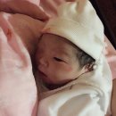 김설진 카카오 검색결과