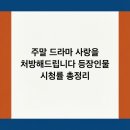 로코엔터테인먼트 | 주말 드라마 사랑을 처방해드립니다 등장인물 시청률 총정리
