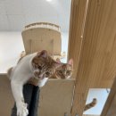 연두민박 이미지