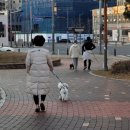 비슬동물병원 이미지