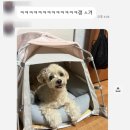 새진미용실