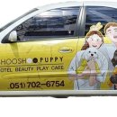 슈슈퍼피 이미지