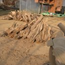 국화호수 이미지