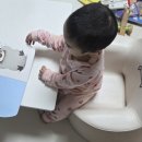 그래그래 | 돌~두돌 전집 추천: 그레이트북스 그래그래 내돈내산 후기