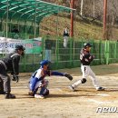 성수면 야구장 뉴스1