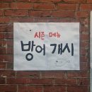 별이빛나는포차 | 문래 대방어 | 문래 단체 술집 문래포차1422 솔직 후기ㅣ서울 루프탑 술집 추천